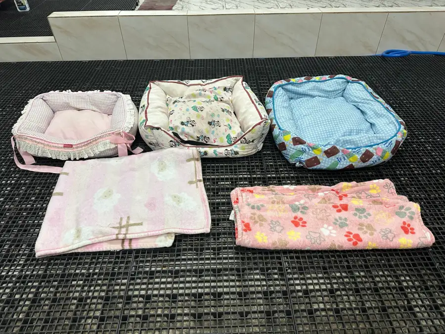 Caminhas de pet higienizadas pela Lave Top em Caruaru
