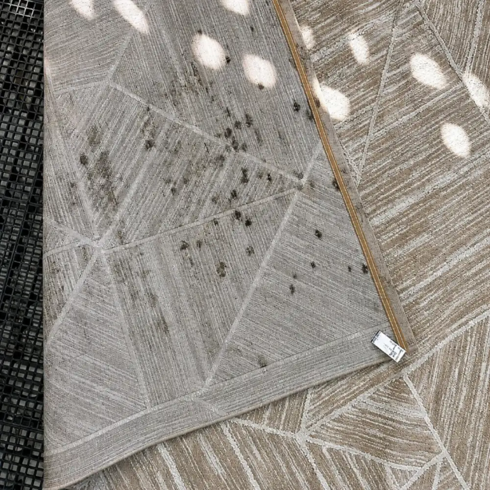 Tapete higienizado pela Lave Top em Caruaru