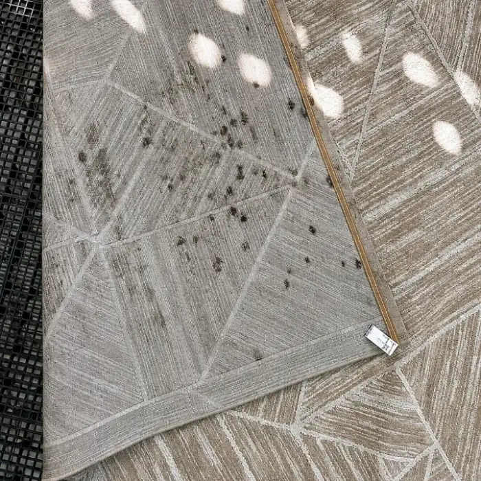 Tapete antes e depois da higienização feita pela Lave Top em Caruaru